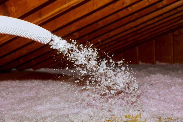 Best Insulation Inspection Services  in Lake Lifornia, CA