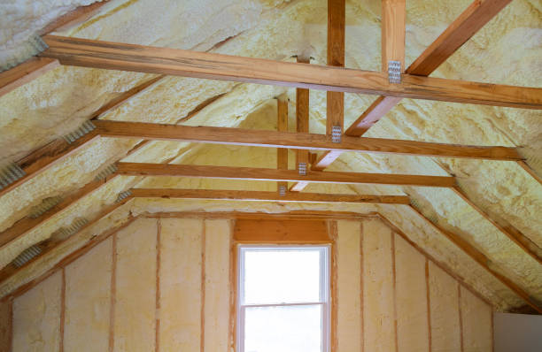 Best Professional Insulation Contractor  in Lake Lifornia, CA