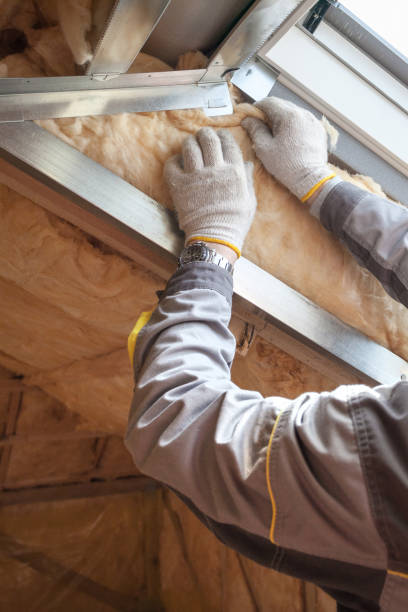 Best Attic Insulation Near Me  in Lake Lifornia, CA