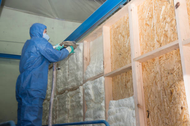 Best Commercial Insulation Contractor  in Lake Lifornia, CA