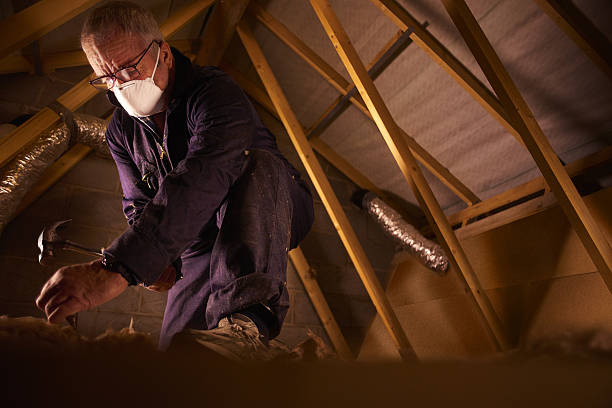 Garage Insulation Installation in Lake California, CA