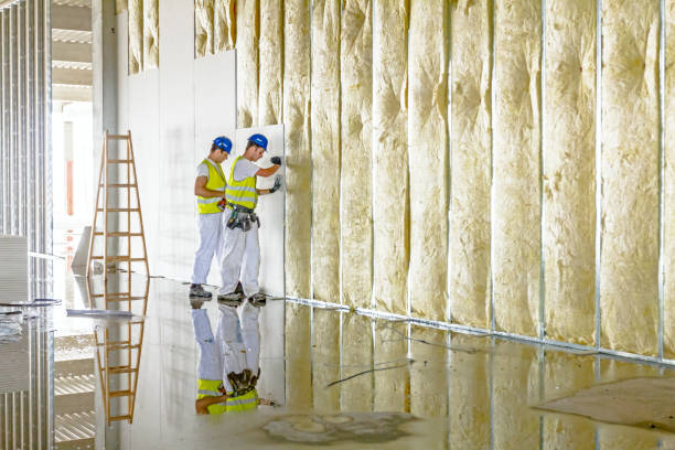 Insulation Repair Services in Lake California, CA